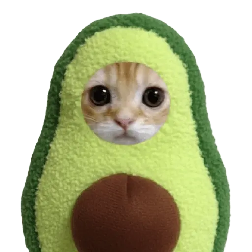 y de pronto una puchaina 🎶🥑