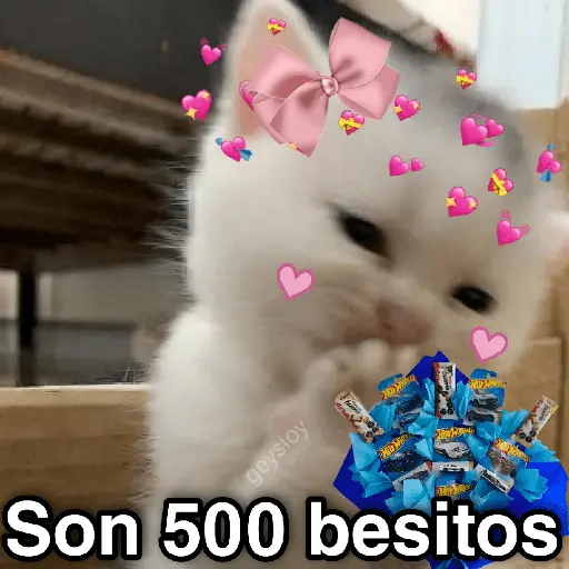 Hot wheels 🏎️ Ramo azul 💐💙
