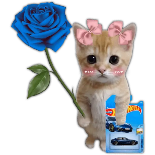 Hot wheels 🏎️ Ramo azul 💐💙
