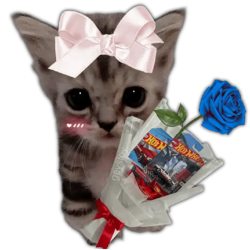 Hot wheels 🏎️ Ramo azul 💐💙