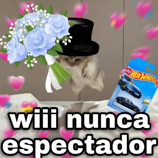 Hot wheels 🏎️ Ramo azul 💐💙