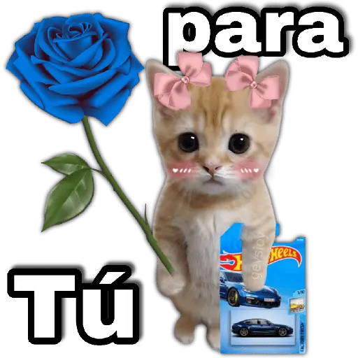 Hot wheels 🏎️ Ramo azul 💐💙