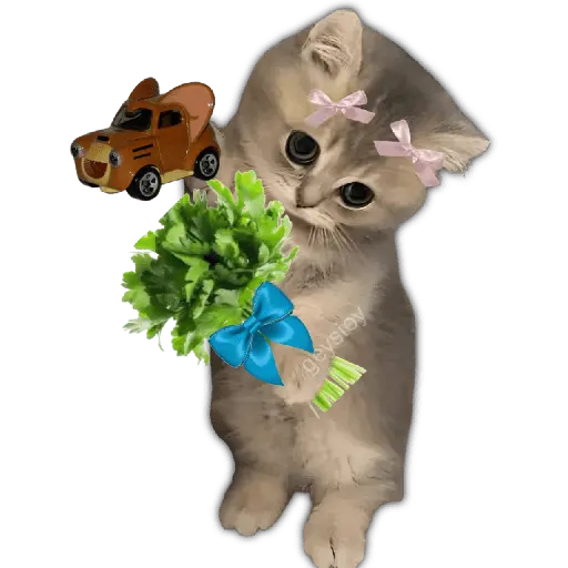 Hot wheels 🏎️ Ramo azul 💐💙