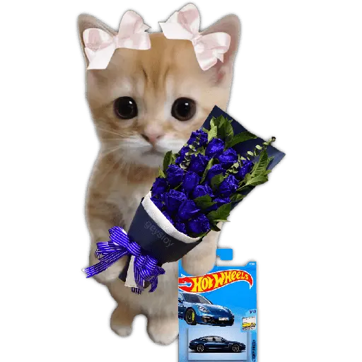 Hot wheels 🏎️ Ramo azul 💐💙