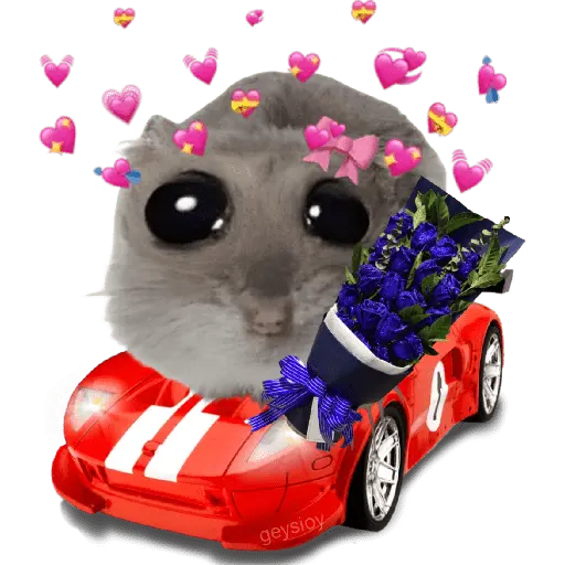 Hot wheels 🏎️ Ramo azul 💐💙