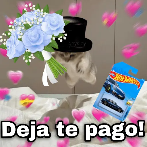 Hot wheels 🏎️ Ramo azul 💐💙