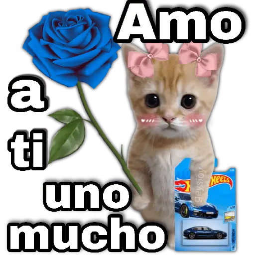 Hot wheels 🏎️ Ramo azul 💐💙