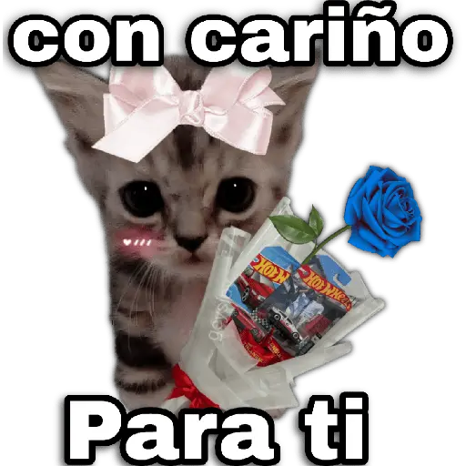 Hot wheels 🏎️ Ramo azul 💐💙