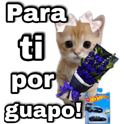 Hot wheels 🏎️ Ramo azul 💐💙