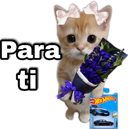 Hot wheels 🏎️ Ramo azul 💐💙