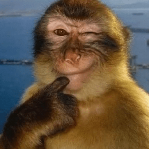 Meme Monyet Ekspresi 🐒 preview