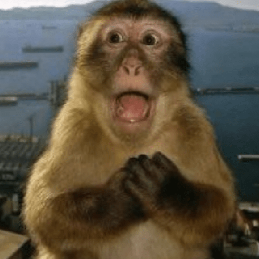 Meme Monyet Ekspresi 🐒 preview