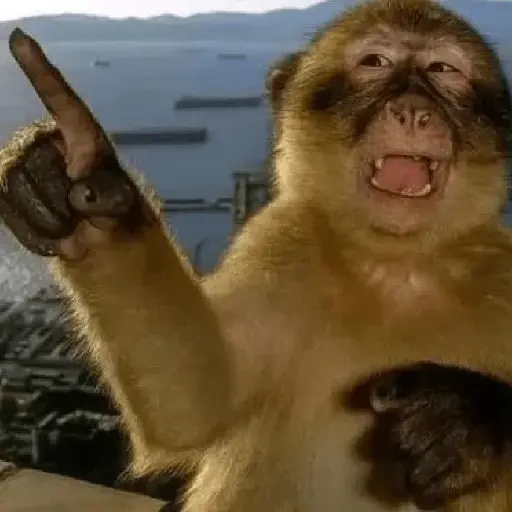 Meme Monyet Ekspresi 🐒