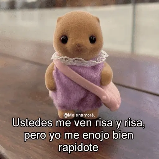 😎 SYLVANIAN MEMES 😎