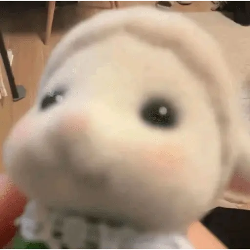 😎 SYLVANIAN MEMES 😎