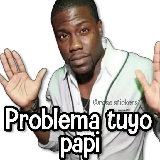 Memes Finos 3😎🪄