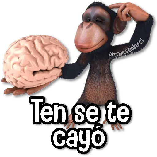 Memes Finos 3😎🪄