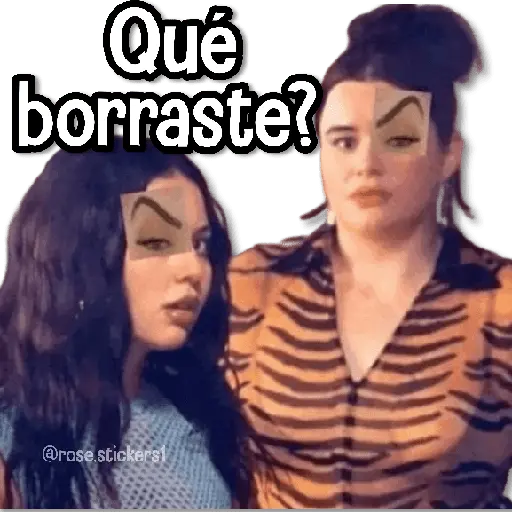 Memes Finos 3😎🪄