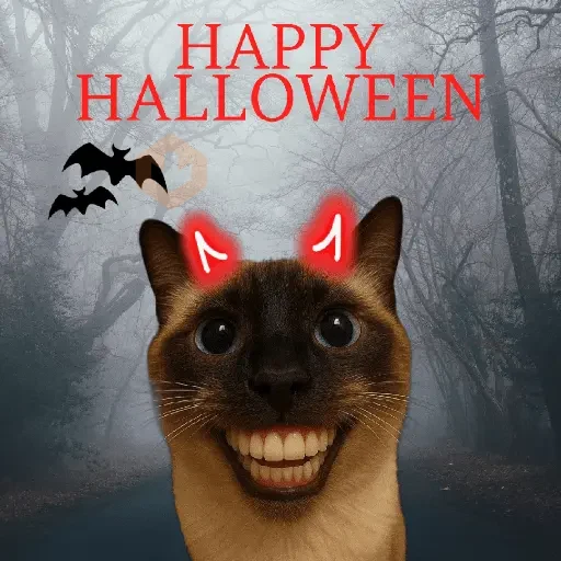 Memes Gatos Halloween 🎃 😸 sticker 14