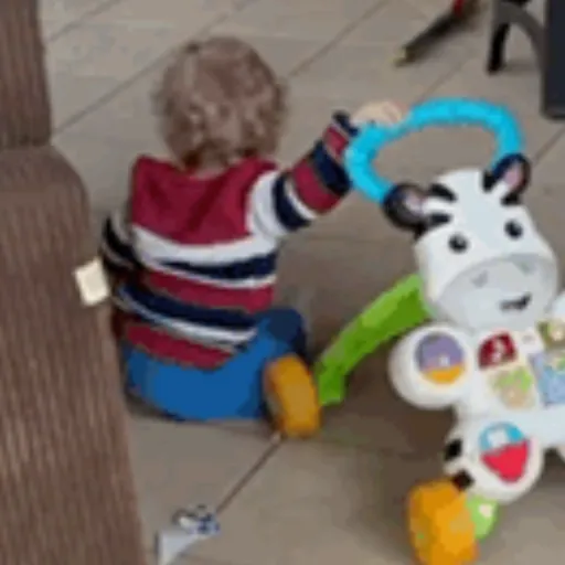 gatos