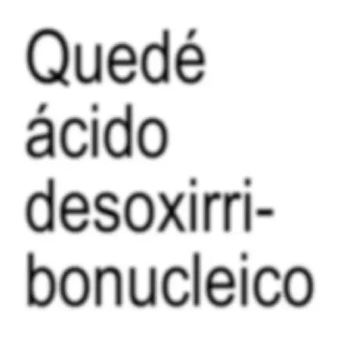 Frases Salvatores 16😉✨