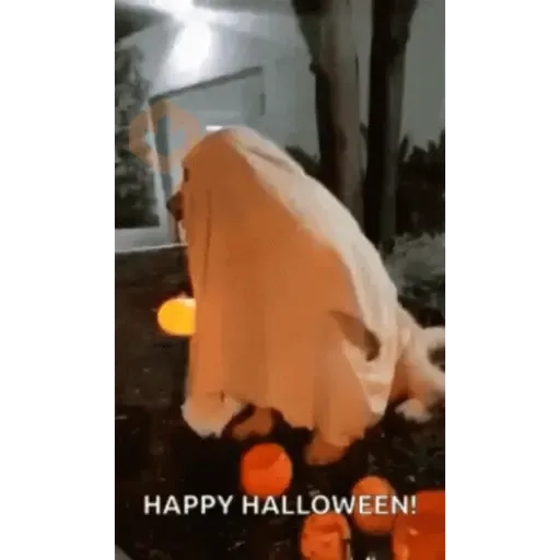 Memes - Halloween - 2025 sticker 14