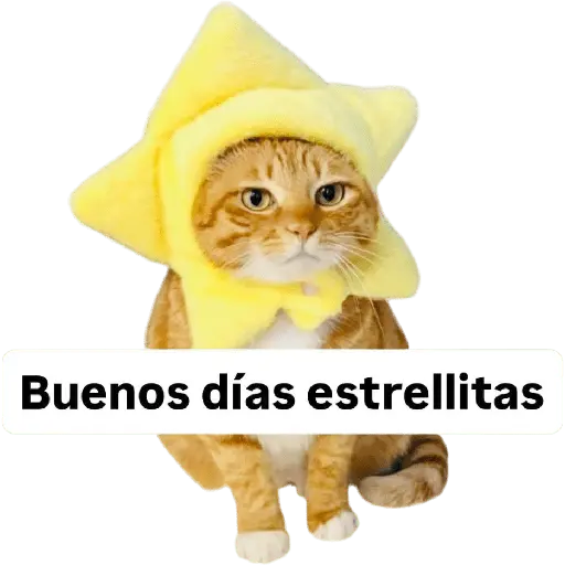 perros y gatos