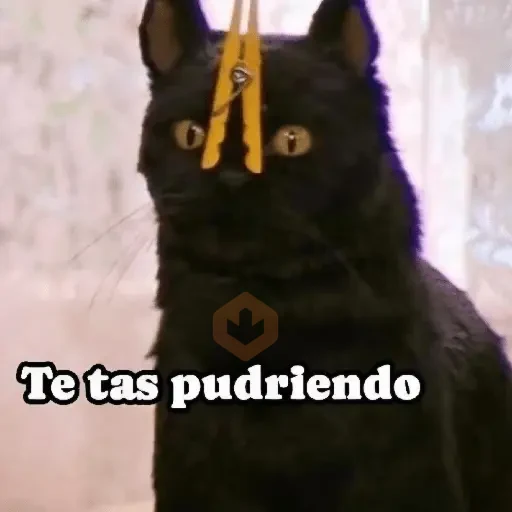 🛝🤸🏻 MEMES 16 🤸🏻‍♀️🛝 sticker 15
