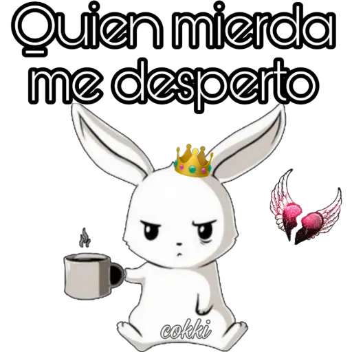 《Conejo negro🖤》 