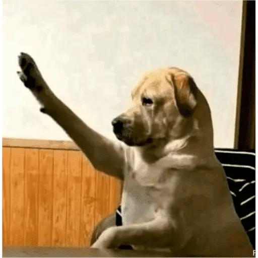 Tiktok Brainrot pt2