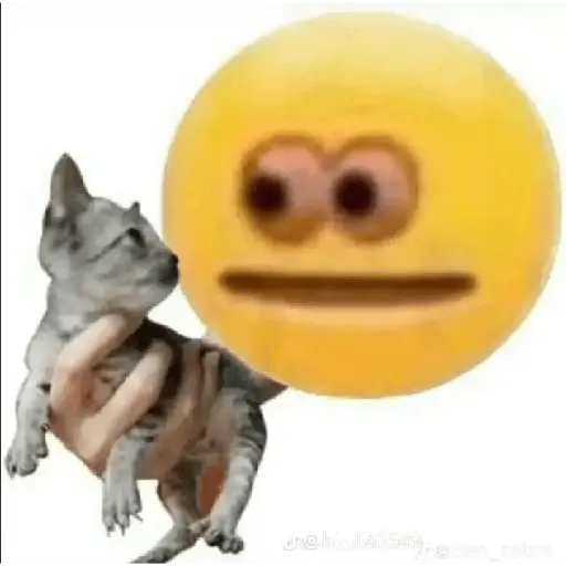 Gato Donato