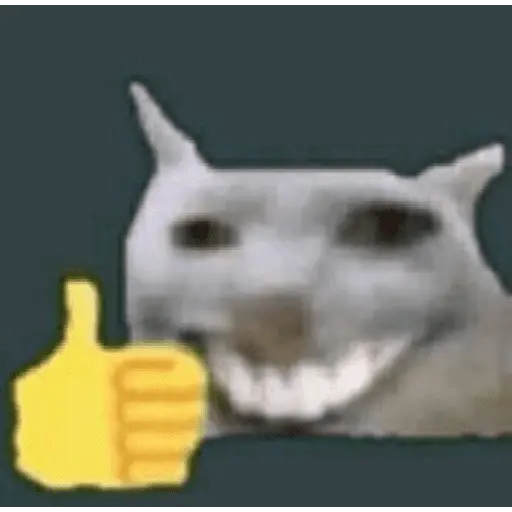 Gato Donato