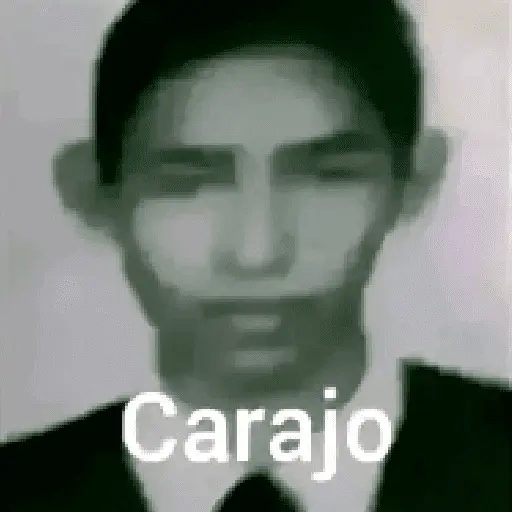 Gato Donato