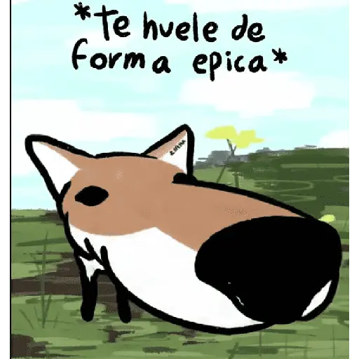 Gato Donato