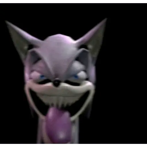 Gato Donato