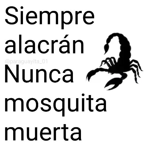 📗⛳ FRASES [Brat] 8 ⛳📗