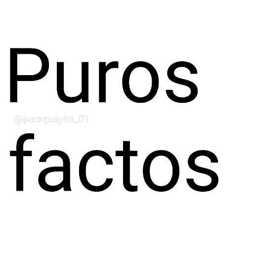 📗⛳ FRASES [Brat] 8 ⛳📗