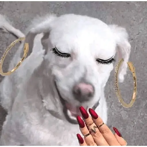 y de pronto una Puchainaaa 😿😹🤩