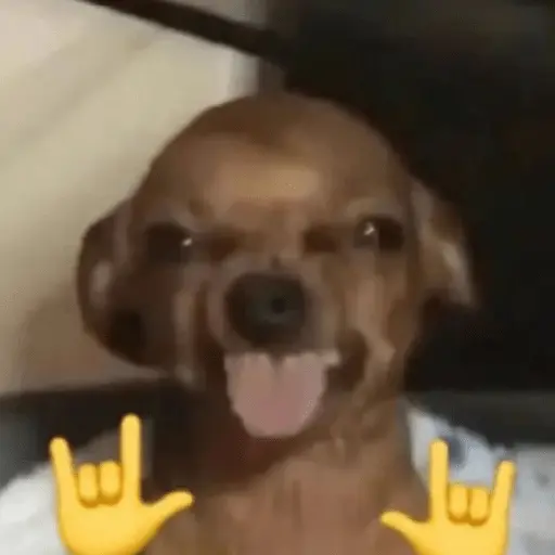 sigo bloqueada?🚫 Perro🔥 🐶