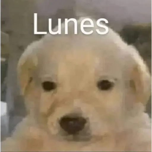 Lunes con L de Long 🤣🤣