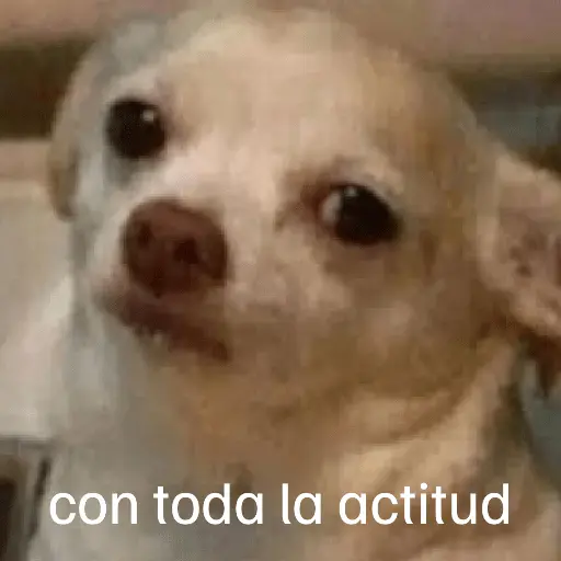 Lunes con L de Long 🤣🤣