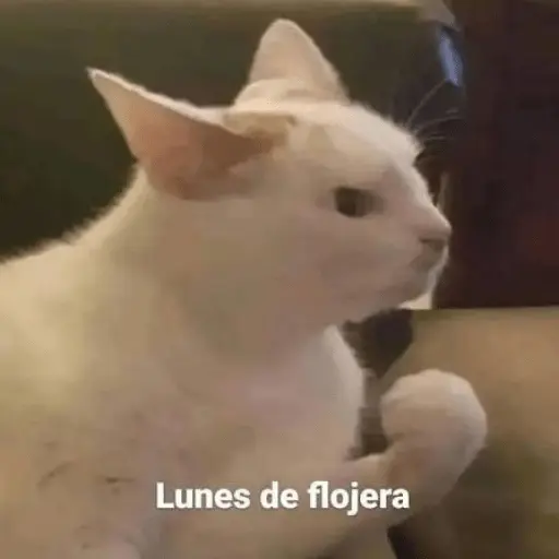 Lunes con L de Long 🤣🤣