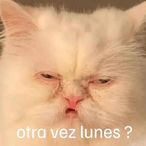 Lunes con L de Long 🤣🤣