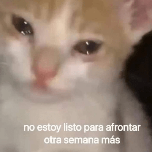 Lunes con L de Long 🤣🤣 preview