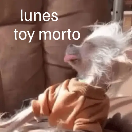 Lunes con L de Long 🤣🤣
