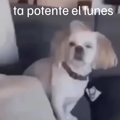 Lunes con L de Long 🤣🤣