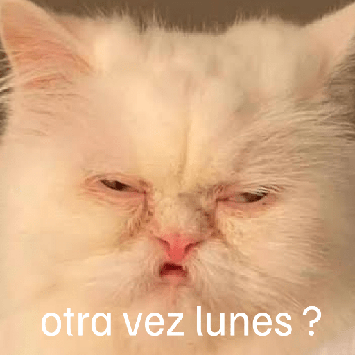 Lunes con L de Long 🤣🤣 preview