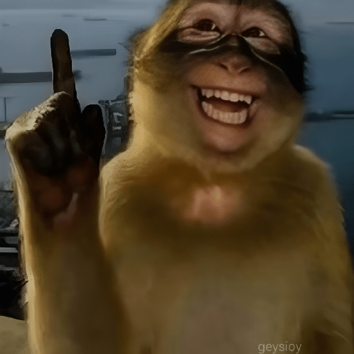 Monkey Trend🔥🙈 Monos 🙊 preview