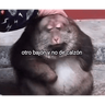 🤙 SHITPOST FOR YOU 😎