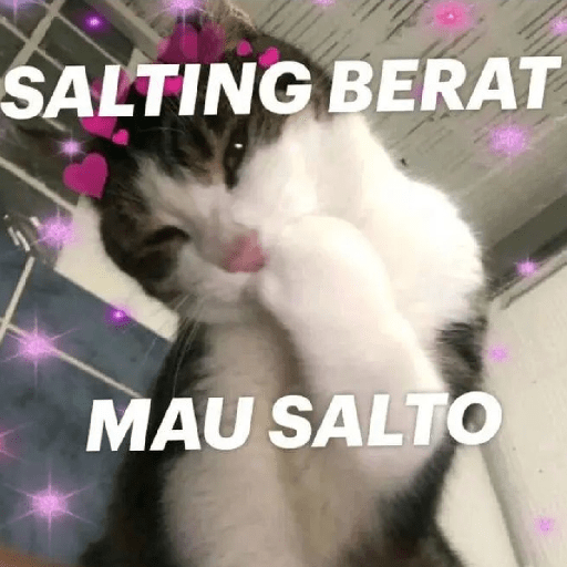 Meme Salting Bucin 🤭🥰 #2 preview